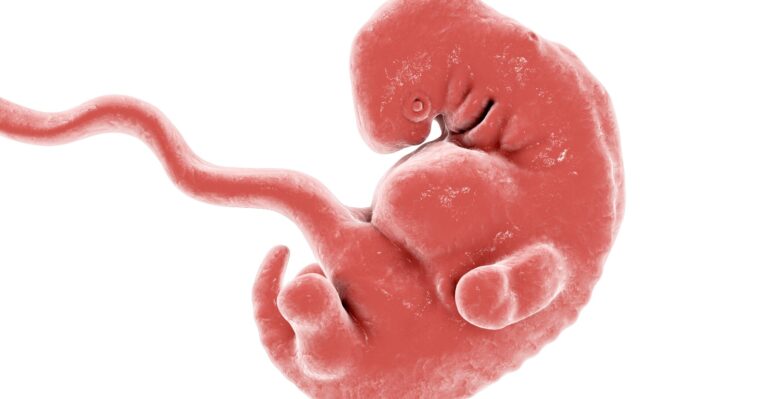 UK Newspaper Takes Pro-Abortion Deception to Next Level