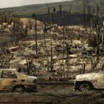 Deadly Hawaii Fires Are Result of Political and Policy Failures—Not Climate Change