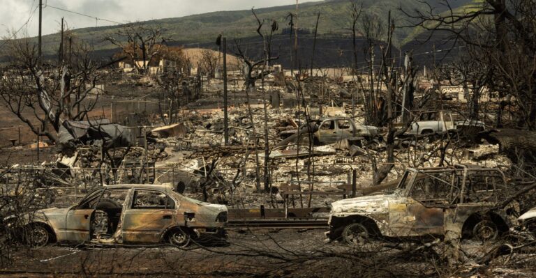 Deadly Hawaii Fires Are Result of Political and Policy Failures—Not Climate Change