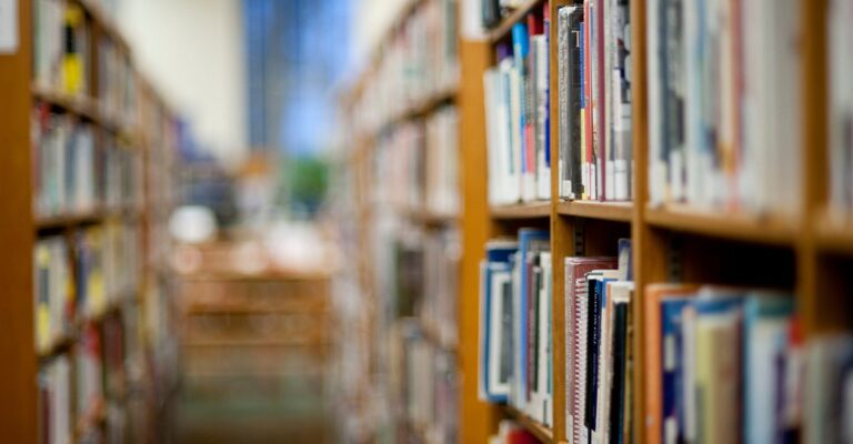 Biden Admin Wants Explicit Content to Stay in School Libraries, House Panel’s Chairman Says