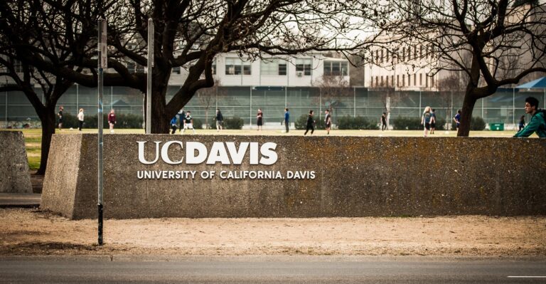 Professor Threatens Children of Pro-Israel Journalists With Violence