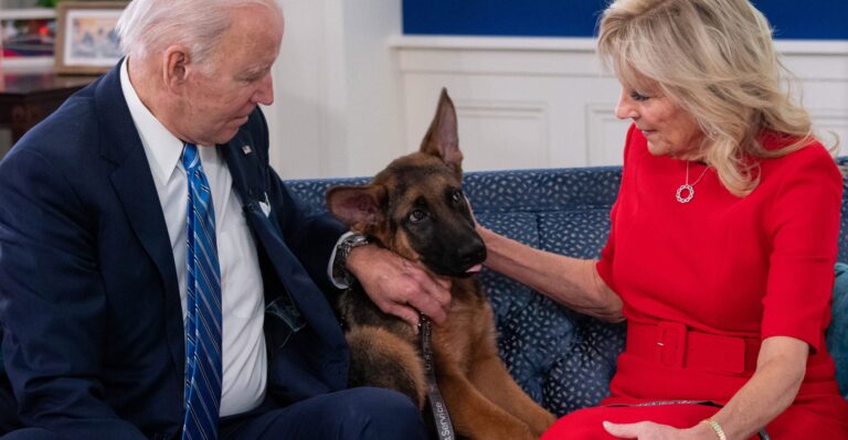 Bidens Again Celebrate Christmas by Publicly Snubbing Granddaughter