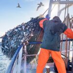 Supreme Court Must Answer Whether Judges or Bureaucrats Have Final Word on Federal Law