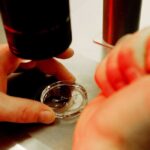 Alabama Supreme Court Rules in Favor of Embryonic Human Life