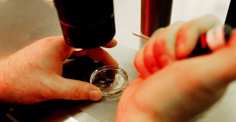 Alabama Supreme Court Rules in Favor of Embryonic Human Life