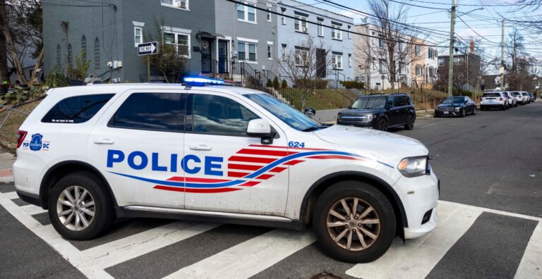 Here’s How DC Created ‘Crime and Disorder Crisis,’ Witness Testifies at House Hearing