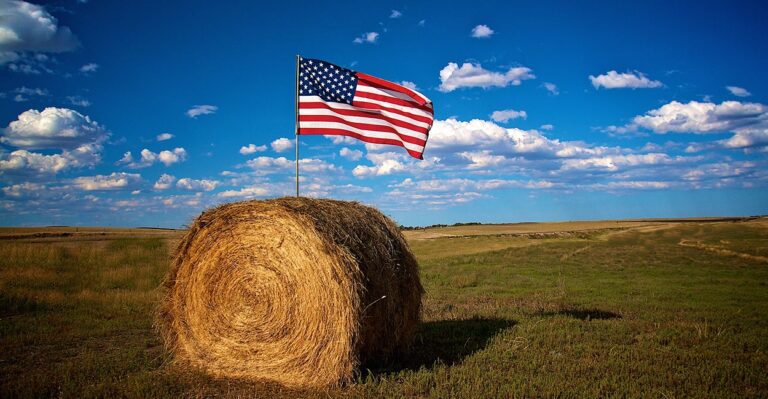 China’s Land Purchases in US Spark Outcry for Federal Solution