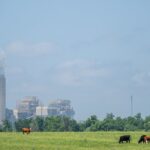 Dozens of Energy Groups Ask Congress to Overturn Biden’s Green Power Plant Rules