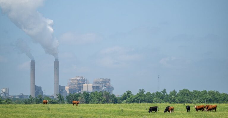 Dozens of Energy Groups Ask Congress to Overturn Biden’s Green Power Plant Rules