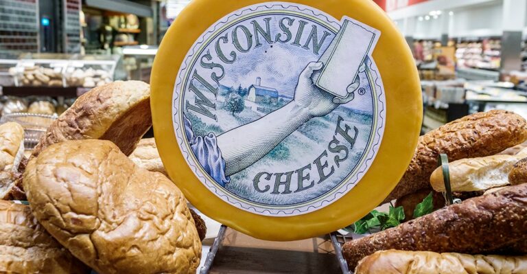 Badger State Blues: Why Wisconsin Families Can’t Afford the American Dream 