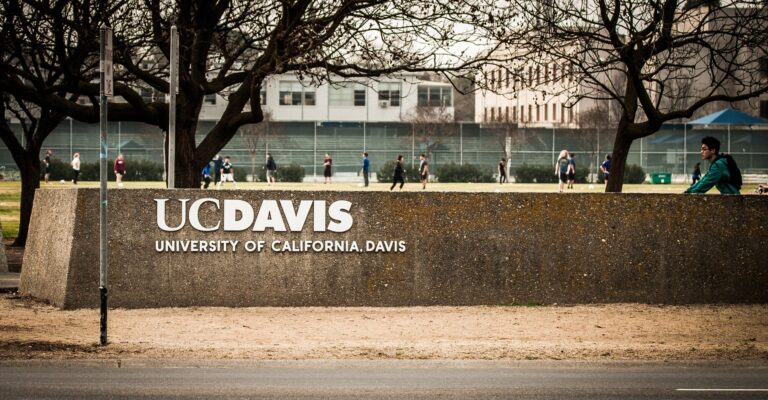 The DEI Higher Ed Machine Is Crumbling