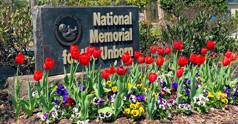 Tennessee Memorial for the Unborn Reminder That Abortion Is Not Empowering