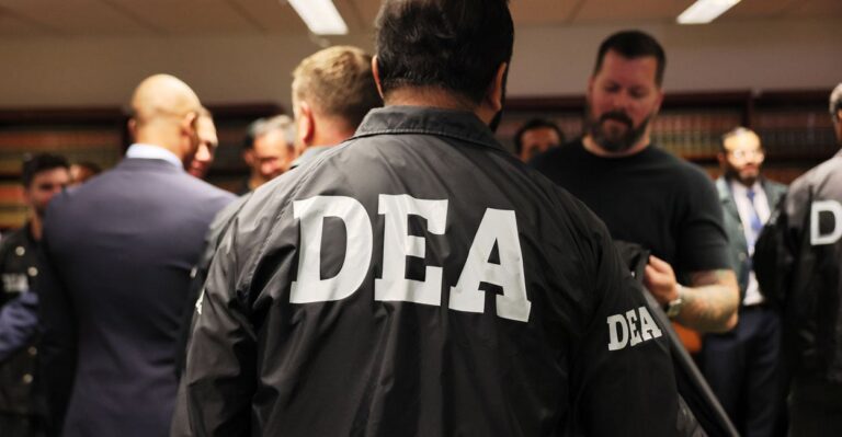 Authorities Arrest Over 600 Sinaloa Cartel Gang Members