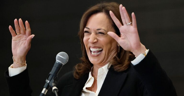 Kamala’s Comeback Crumbles in Terrible MSNBC Interview