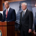 ‘Democrats Own This Government Shutdown,’ GOP Senators Say