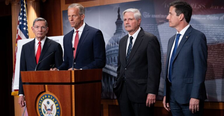 ‘Democrats Own This Government Shutdown,’ GOP Senators Say