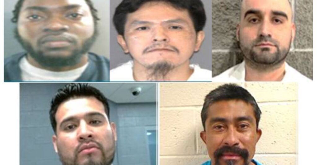 EXCLUSIVE: ICE Arrests Illegal Aliens Convicted of Manslaughter, Arson ...