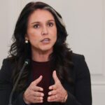 Mainstream Media Ignored Gabbard’s Stark Warning on Islamist Ideology