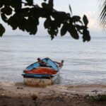 A Path to Defeating the Drug Cartels  