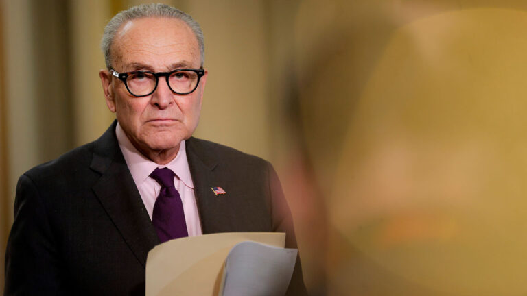A dour-looking Chuck Schumer holding a file.