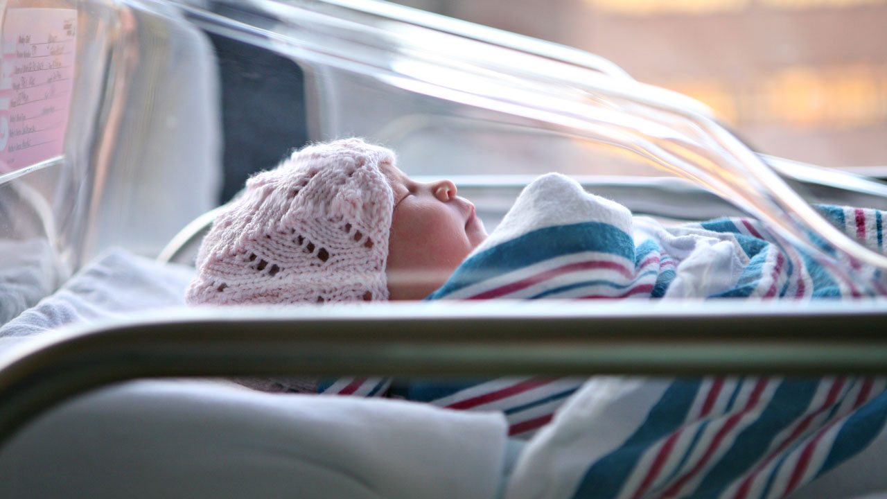 Politics and Parenthood: Why Liberals Are Having Fewer Kids Than Conservatives