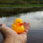 A person holds a small yellow rubber duck over calm water, with greenery and cloudy sky reflected on the lakes surface in the background.