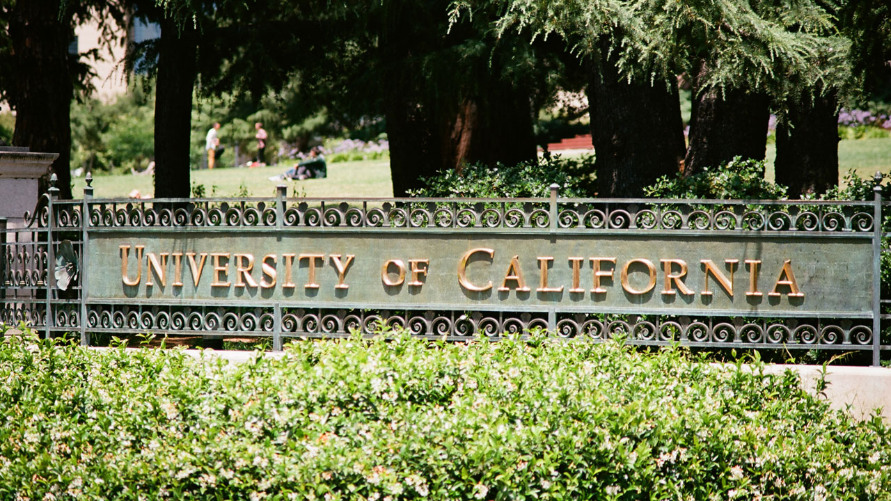 The DEI Admissions Scam Is Catching Up With Elite Universities