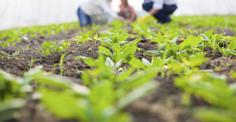 Farmers Blast Governor’s Hunger Initiative