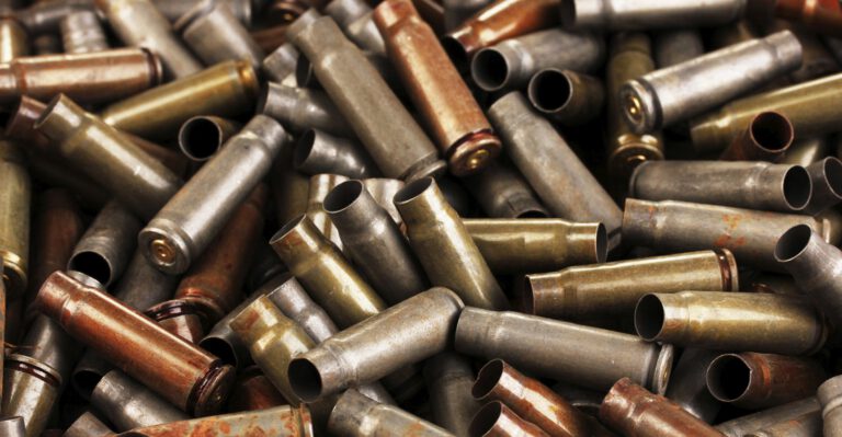 Democrat State Senator: Gun Background Checks Unnecessary in Vermont