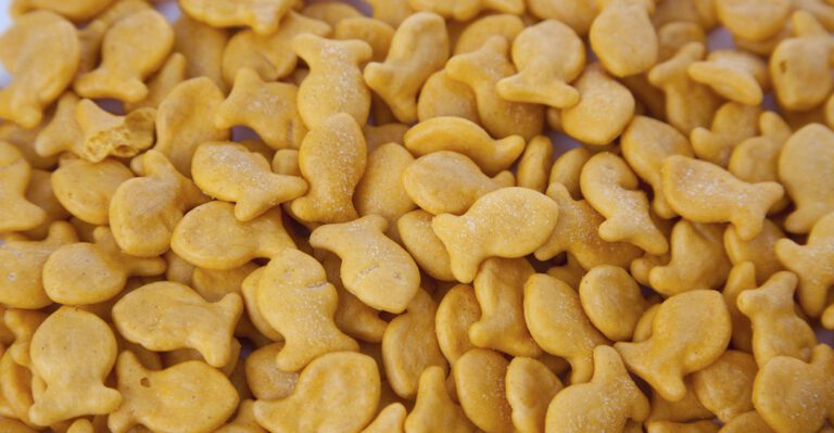 Pa. Workforce Agency Contests Audit Stating Agency Misspent Nearly $250K on Goldfish, Food