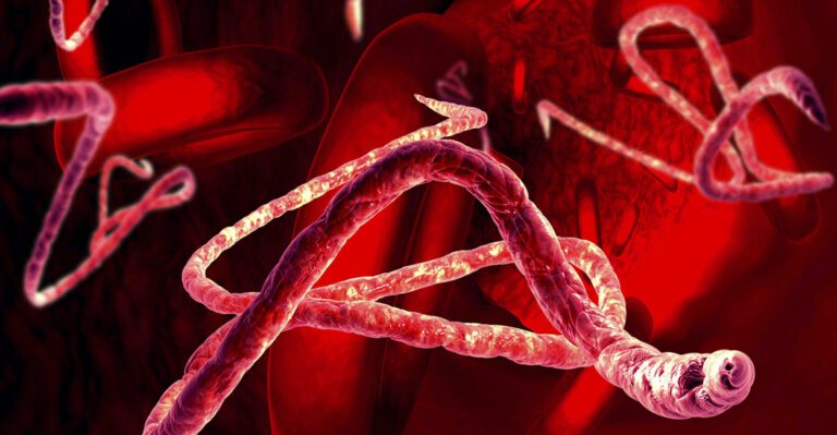 Bioterrorism Should Be a Bigger Concern Than Ebola