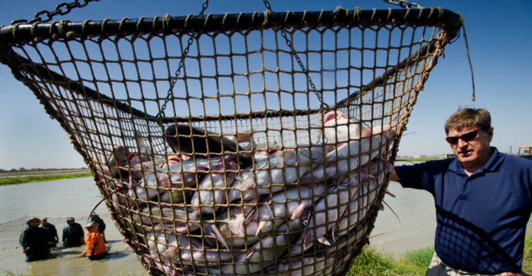 This Program Epitomizes Waste and Favoritism. Lawmakers Now Have a Chance to Repeal It.