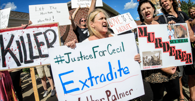 Forget Cecil. Legal Hunting Benefits Africa.
