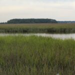 Bill Banning EPA’s Proposed Attack on Property Rights Expected to Be Considered By House