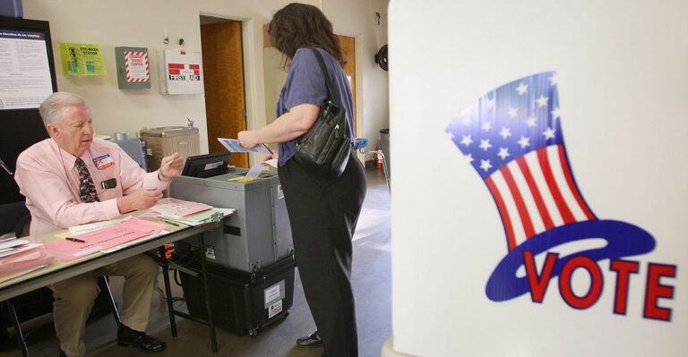 Citizen Poll Watchers Expose Need for Scrutiny of Elections