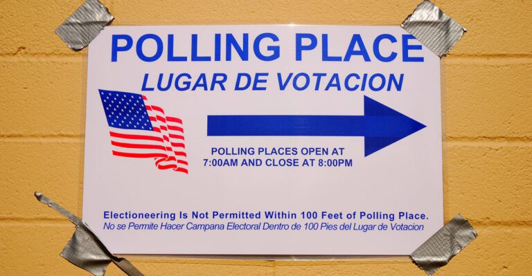 Poll Watchers Will Be Observing From Farther Away in One Democratic Stronghold