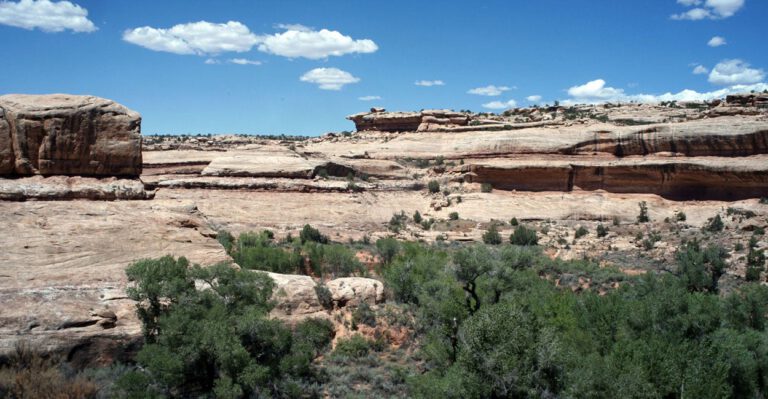 Why Conservatives Urge Trump to Undo Government Land Grabs