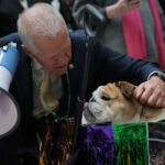 House Republicans Slam Senate for Dog Parade