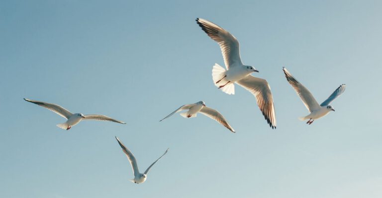 This Bird Regulation Might Have Made You a Criminal. Not Anymore.