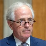 88 Senators Agree Congress Must Have Role in New Tariffs