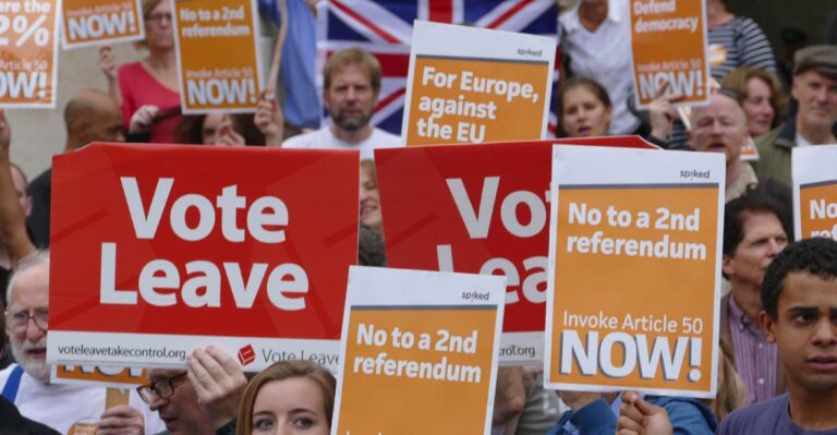 Architect of Brexit Victory Reflects on How He Won Swing Voters