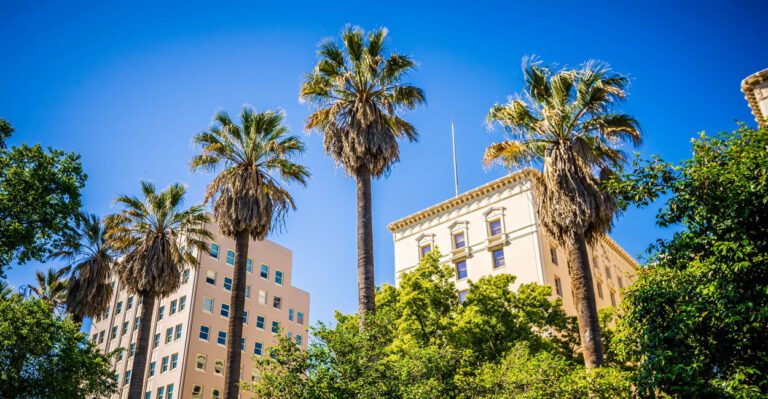 California Shows Why Congress Needs to Eliminate Food Stamp Work Requirement Loophole