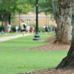 Free Speech Is Dying on the College Campus. How We Can Revive It.