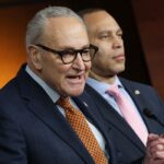 Do These Democrats Really Want to Carry Water for Don Lemon and the Church Invaders?