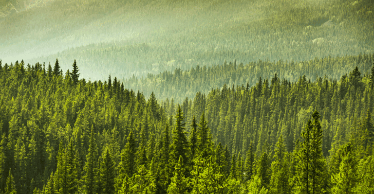 Meet the Climate Scientists That Social Media Censors Don’t Want You to Know About