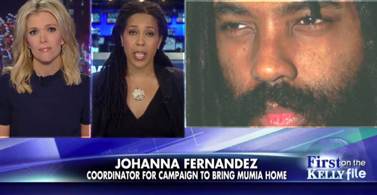 Megyn Kelly ‘Sets Record Straight’ on Comparing Cop Killer to MLK