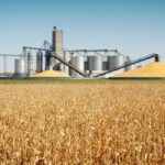 Next Farm Bill Shouldn’t Play Favorites With Energy