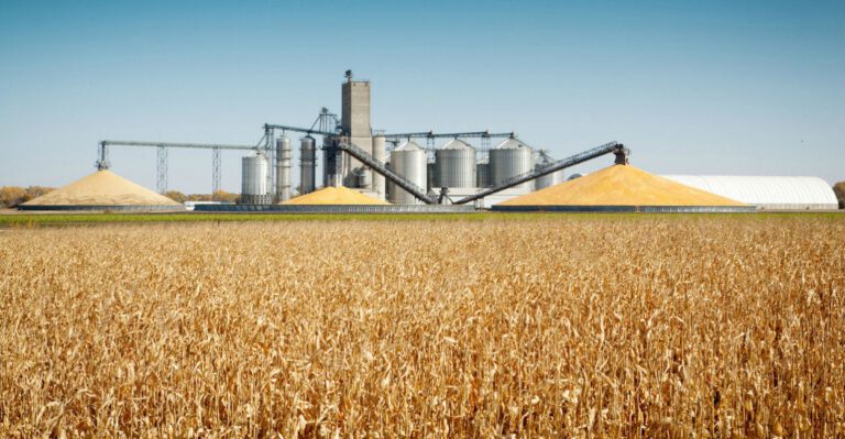 Next Farm Bill Shouldn’t Play Favorites With Energy