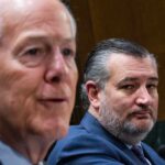 EXCLUSIVE: Texas Lawmakers Demand GOP Fight for Stronger Child Protections Against AI