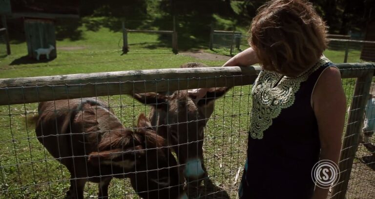 Fined $13,000 by State, Farmers Are Fighting Back Against ‘Discrimination’ Ruling